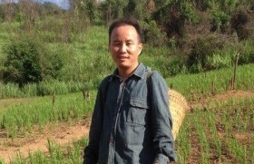 Thaiv Lis