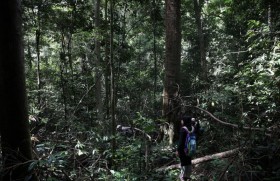 https://www.bbc.com/thai/thailand-55183668