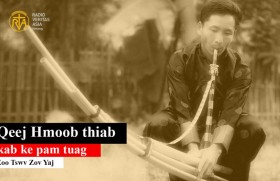 Hmong qeej
